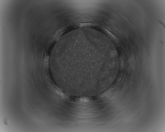 X0000098050475200804251108