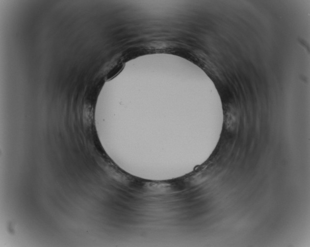 X0000098050476200804251108