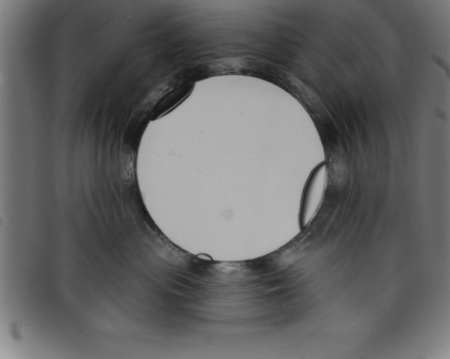 X0000098050477200804251108