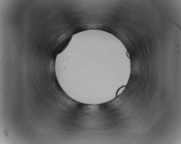 X0000098050478200804251108