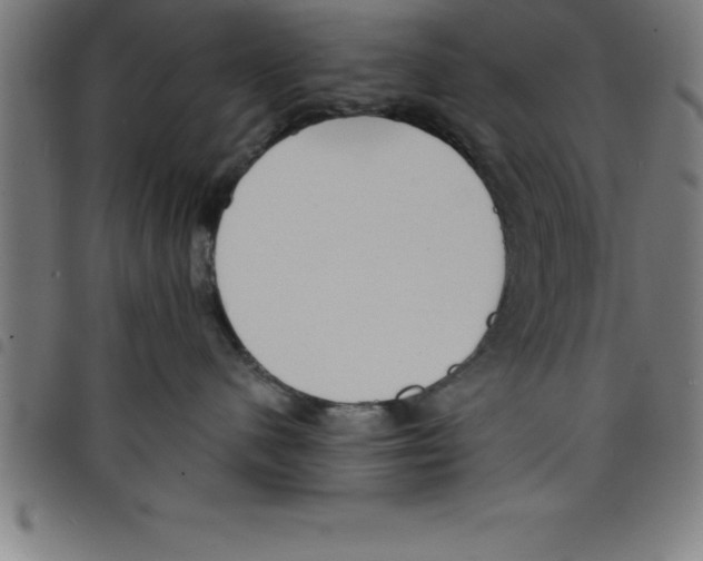 X0000098050480200804251108