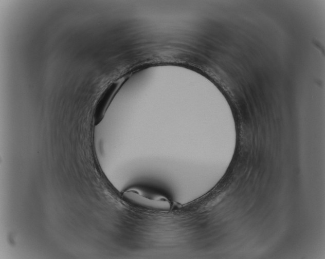 X0000098050481200804251107