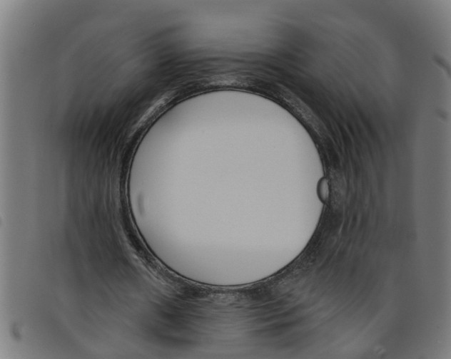 X0000098050482200804251107