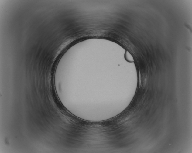 X0000098050483200804251107