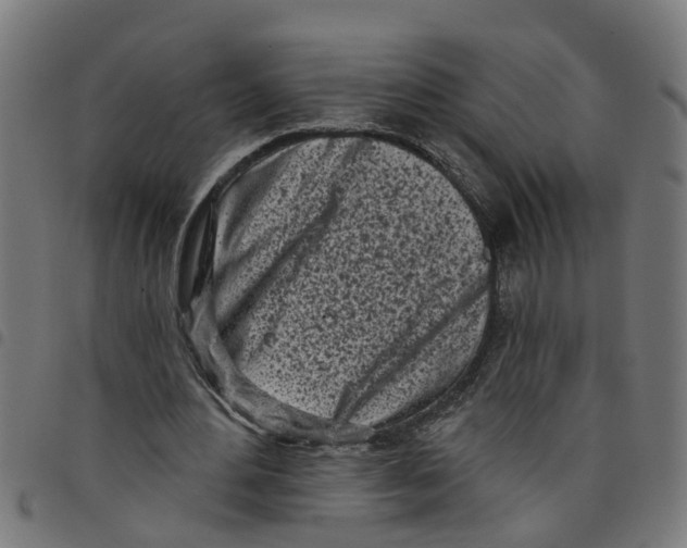 X0000098050484200804251107