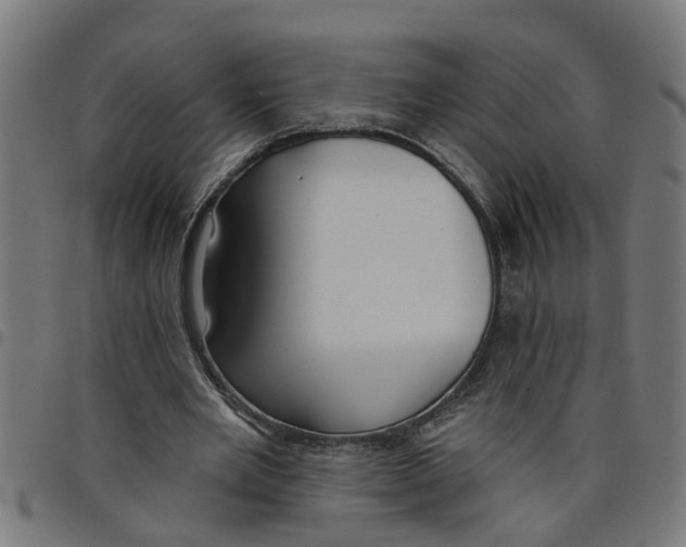 X0000098050485200804251107