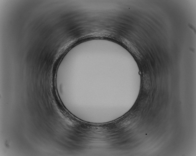 X0000098050486200804251107