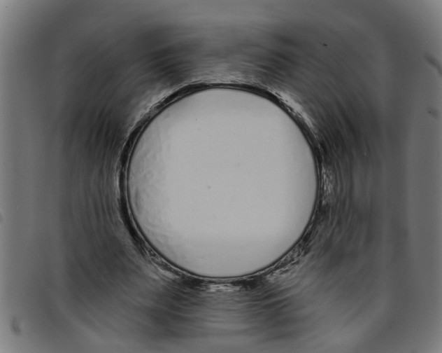 X0000098050487200804251107