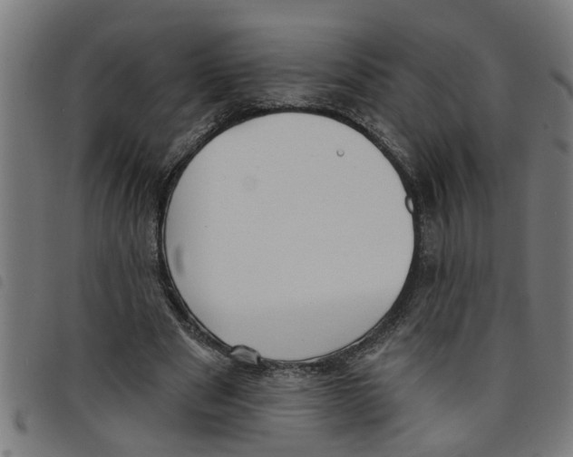 X0000098050489200804251107