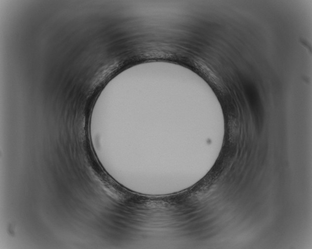 X0000098050490200804251107