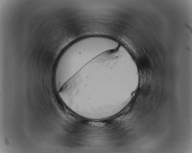 X0000098050491200804251107