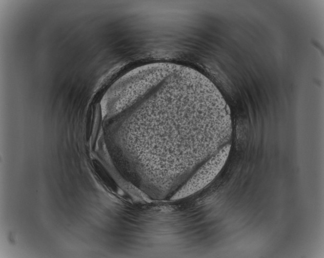 X0000098050492200804251107