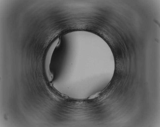 X0000098050493200804251107