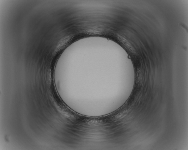 X0000098050494200804251107