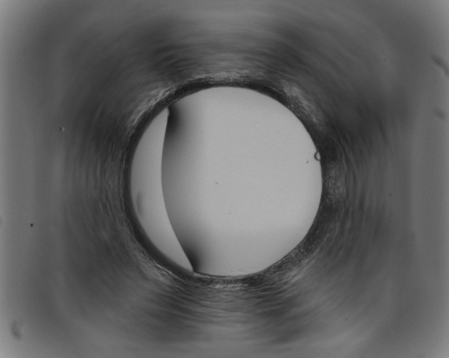 X0000098050495200804251107