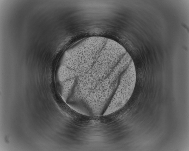 X0000098050496200804251107