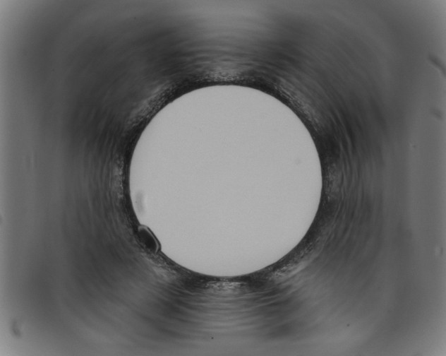 X0000098050497200804251107