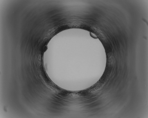 X0000098050498200804251107