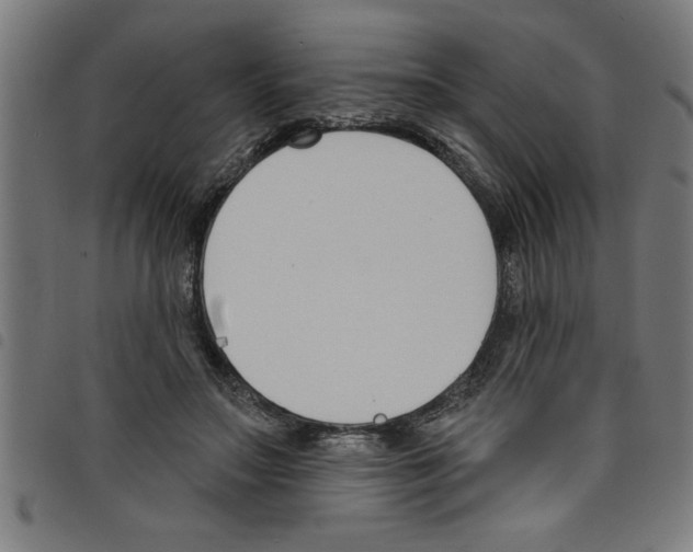 X0000098050499200804251107