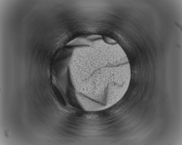 X0000098050500200804251107