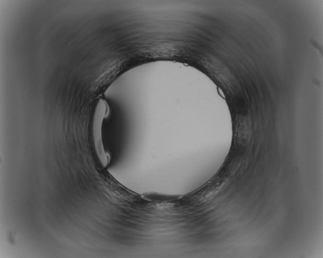 X0000098050501200804251107