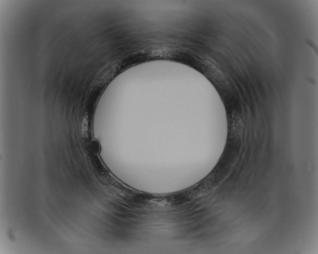 X0000098050502200804251107