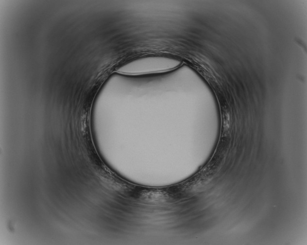 X0000098050503200804251107