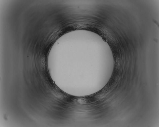 X0000098050506200804251107