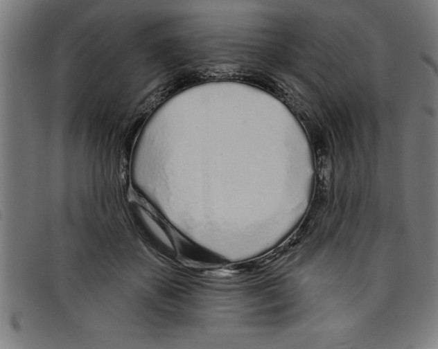 X0000098050507200804251107