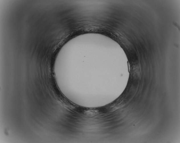 X0000098050508200804251107