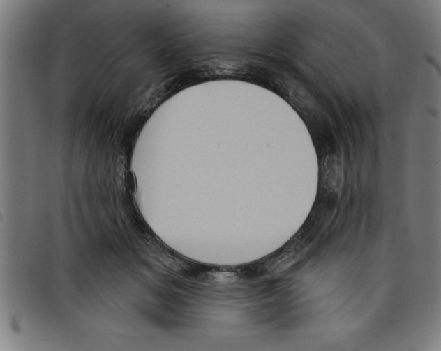 X0000098050509200804251107