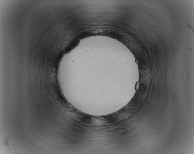 X0000098050510200804251107