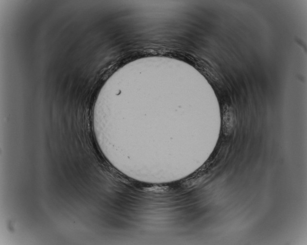 X0000098050511200804251107