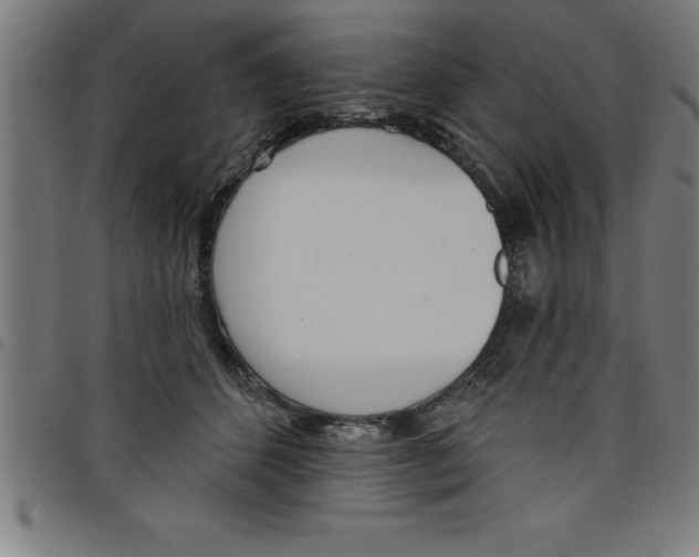 X0000098050512200804251107