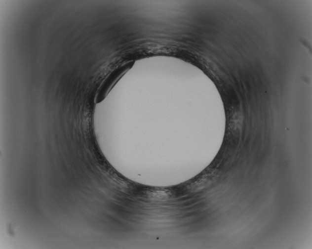 X0000098050513200804251107