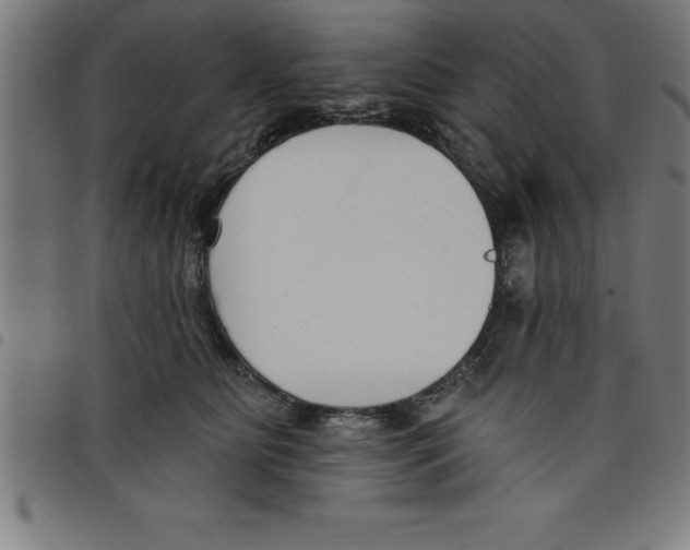 X0000098050515200804251107