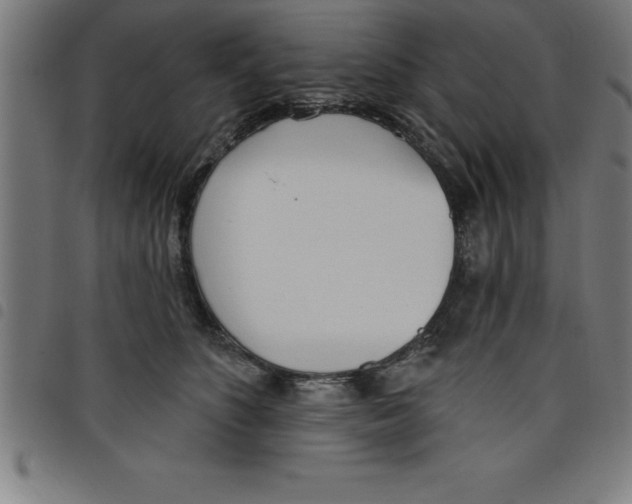 X0000098050516200804251107