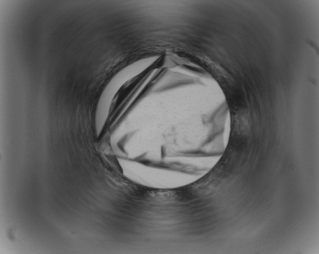 X0000098050517200804251107