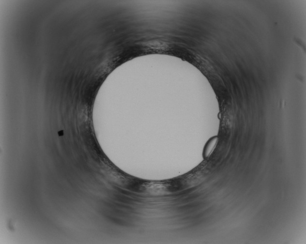 X0000098050518200804251107