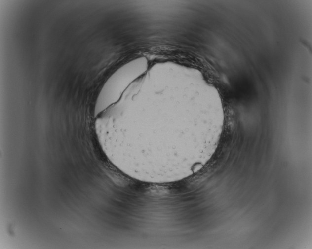 X0000098050519200804251107