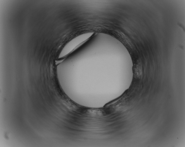 X0000098050520200804251107