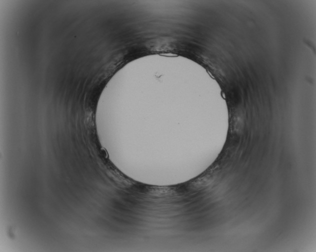 X0000098050521200804251107