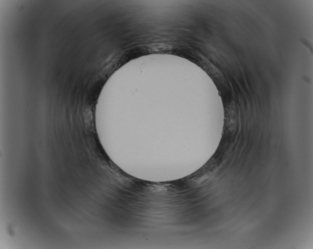 X0000098050523200804251107