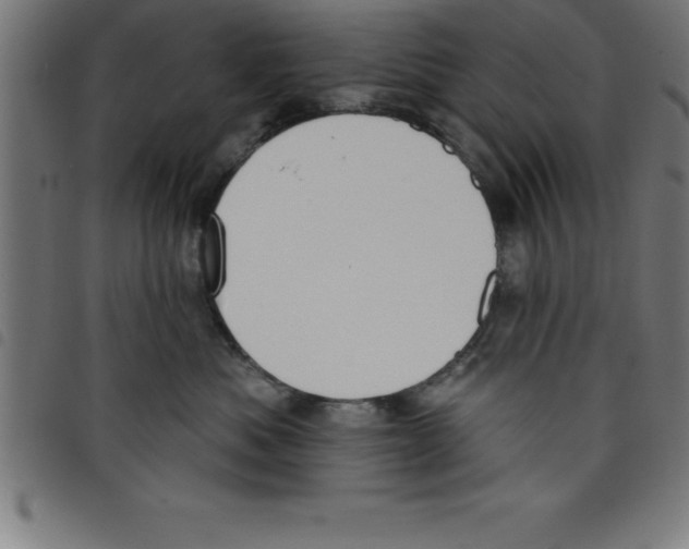 X0000098050525200804251107