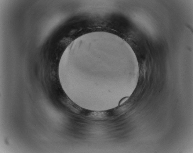 X0000098050526200804251107