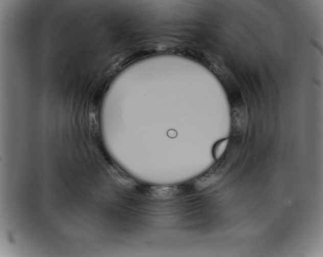 X0000098050527200804251107