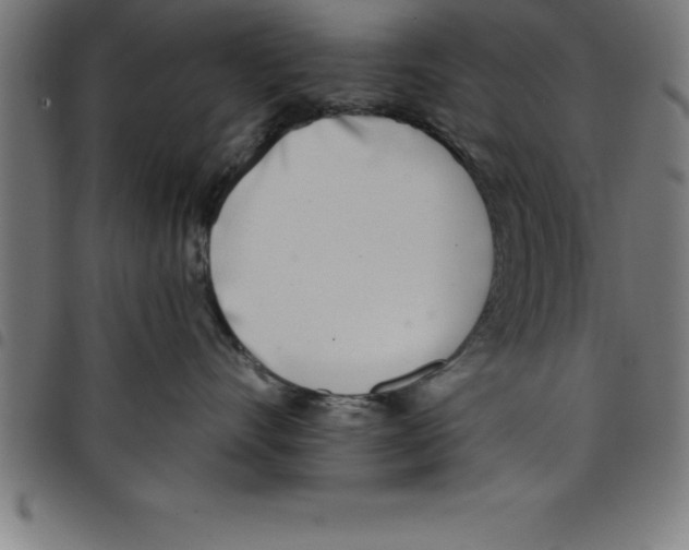 X0000098050528200804251107