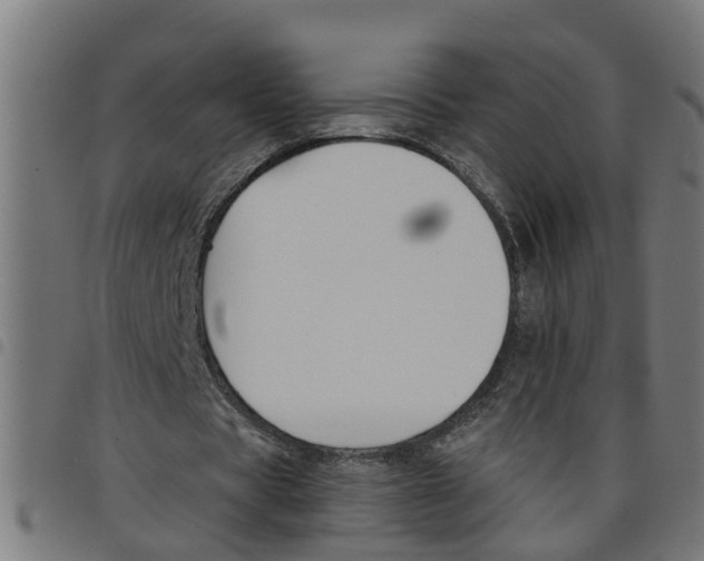 X0000098050529200804251106