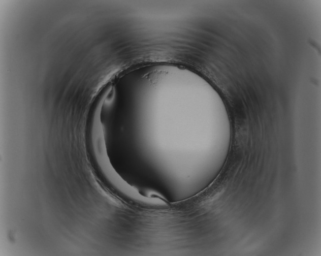 X0000098050530200804251106