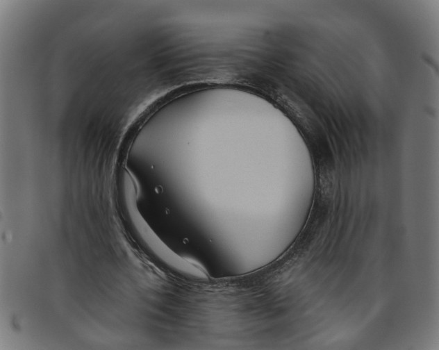 X0000098050532200804251106